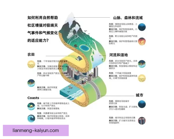 开云注册全流程详解与账号安全设置指南及常见问题解决方案
